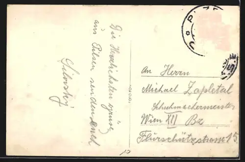 AK Plzen, Wilsonuv most