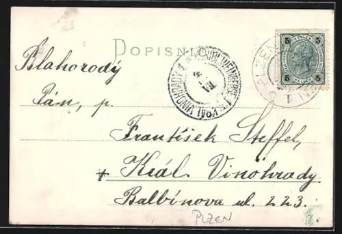 AK Plzen, Celkovy pohled