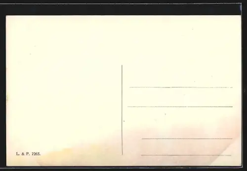 AK Prerov, Ortspanorama mit Brücke aus der Vogelschau