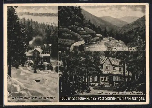AK Weisswassergrundbaude, Ansicht im Winter und im Sommer, Weisswassergrund