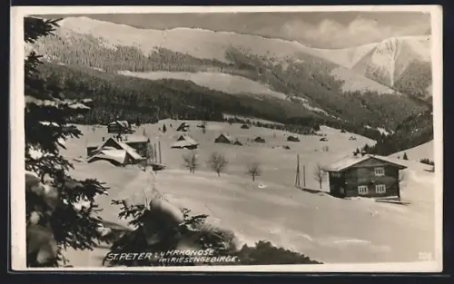 AK St. Peter /Riesengebirge, Ortsansicht im Winter