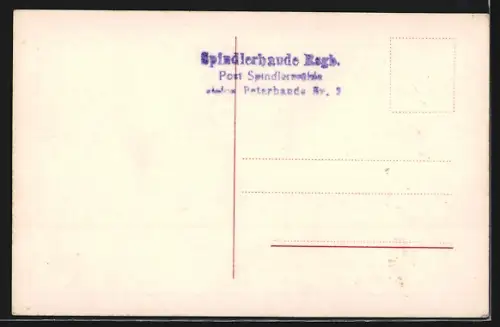 AK Spindlermühle /Riesengebirge, Ortsansicht mit Brücke im Winter
