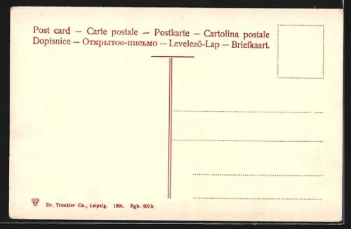 AK Johannisbad, Gesamtansicht aus der Vogelschau, mit Gasthof