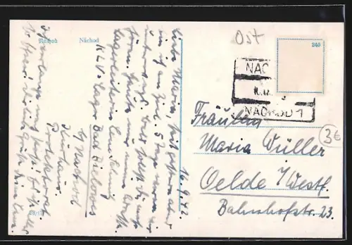 AK Nachod, Totalansicht aus der Vogelschau