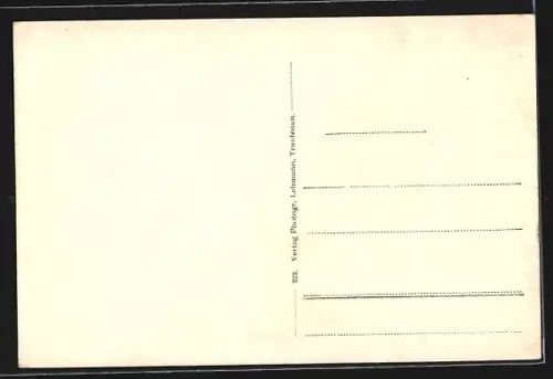 AK Johannisbad /Riesengebirge, Mariannenhöh mit Kirche aus der Vogelschau