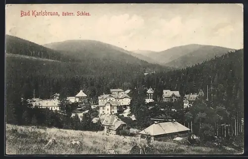 AK Bad Karlsbrunn /Österr. Schles., Panorama