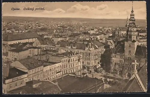 AK Opava, Celkový pohled