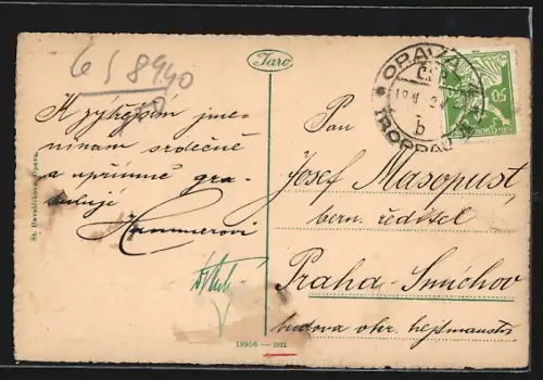 AK Opava, Celkový pohled