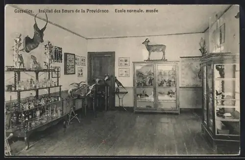 AK Gosselies, Institut des Soeurs de la Providence, Ecole normale, musée