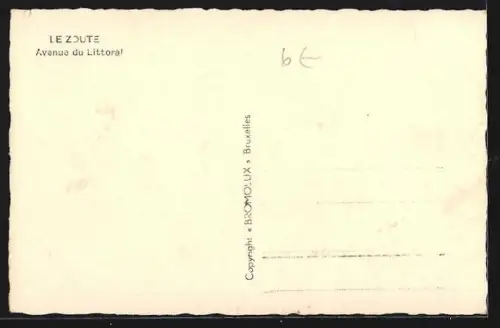 AK Le Zoute, Avenue du Littoral