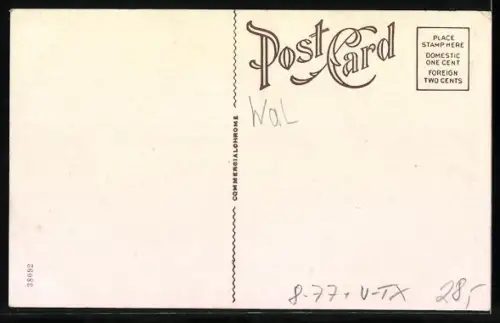 AK Beaumont, TX, Whale Captured near Beaumont