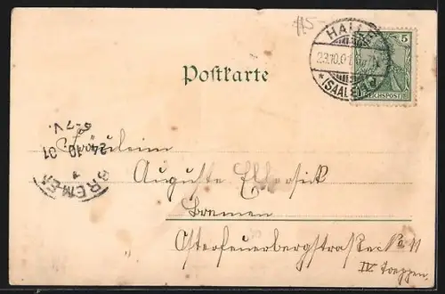 Lithographie Halle a. d. Saale, Burg Giebichenstein, Reilsburg v. d. Bergschänke, Moritzburg