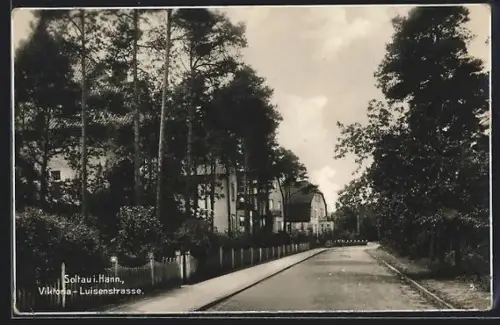 AK Soltau i. Hann., Viktoria-Luisenstrasse