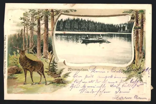 Passepartout-Lithographie Mummelsee, Panorama mit Boot, Hirsch im Wald