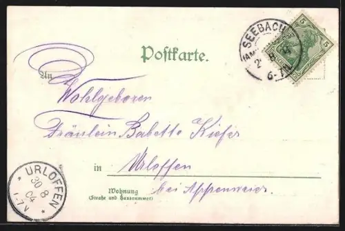 Lithographie Mummelsee i. Schwarzwald, Mummelsee-Hotel, Schafhirte mit Frau