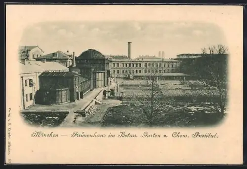 AK München, Palmenhaus im Botanischen Garten und Chem. Institut