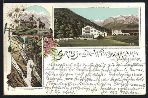 Lithographie Berchtesgaden, Gasthof zur Wimbachklamm, Gämse auf einem Berg