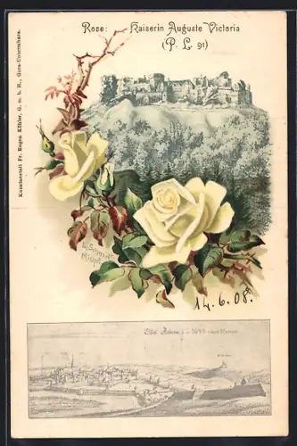 AK Zabern, Château avec roses blanches et illustration historique en bas
