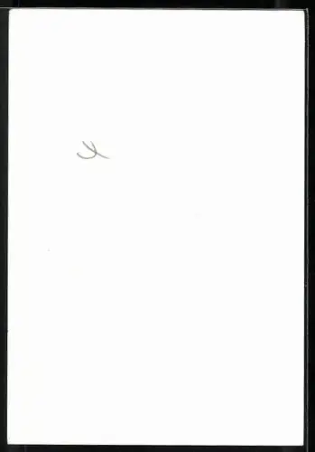 AK Musikerin Heike Schäfer in schwarzer Jacke, Autograph