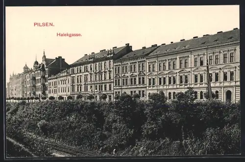 AK Pilsen, Halekgasse