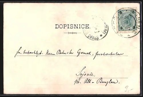 AK Plzen, Východni cási s veze