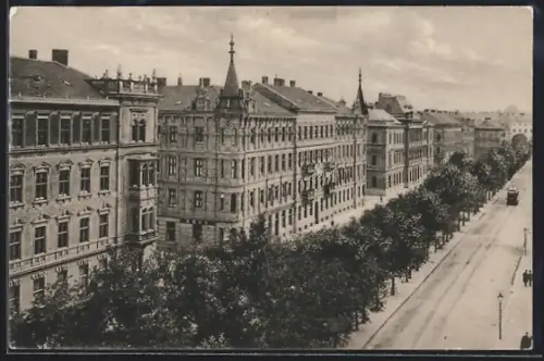 AK Brünn, Blick in die Schmerlingstrasse