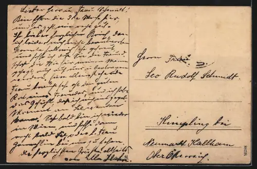 AK Prerov, Celkový pohled