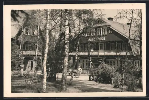 AK Wurzelsdorf /Isergeb., Gasthaus Waldbaude