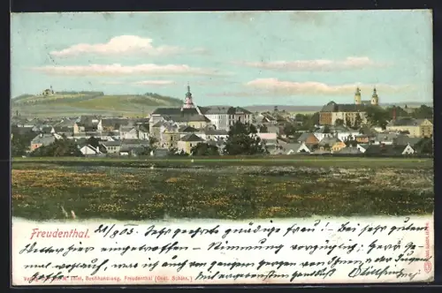 AK Freudenthal, Ortspanorama von einer Wiese aus