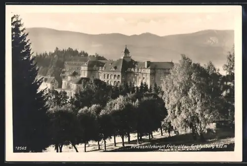 AK Freiwaldau-Gräfenberg, Priessnitzkurort mit Umgebung