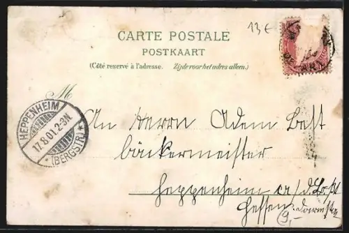 Lithographie Anvers, Cour du Musée Plantin, La Cathédrale, Le Musée