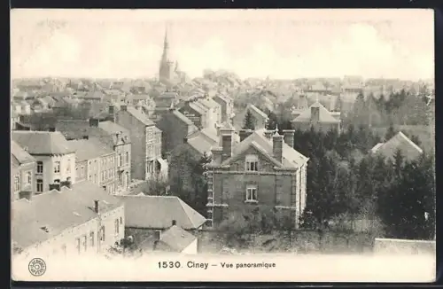 AK Ciney, Vue panoramique