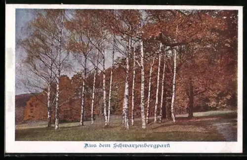 AK Deutscher Schulverein Nr. 881: Wien, Schwarzenbergpark im Herbst