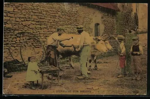 AK Ferrage des Boefs, Schmied mit Ochsen