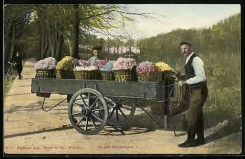AK In het Bollenland, Blumenhändler an seinem Wagen