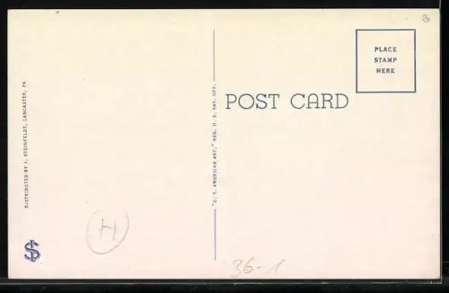 AK Lancaster County, PA, Amish Family walking down the Street