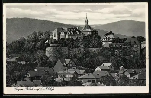 AK Siegen, Blick auf das Schloss