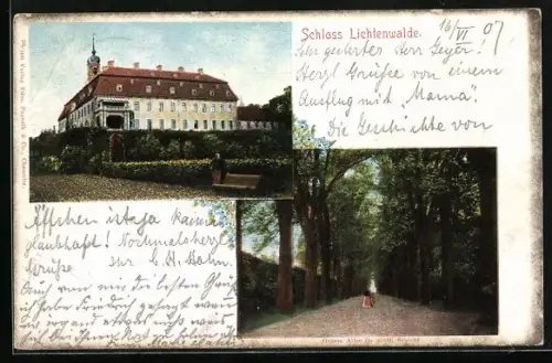 AK Lichtenwalde, Schloss Lichtenwalde, Grosse Allee