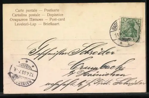 AK Baden-Baden, Blick vom Schloss Venningen auf Stadtpanorama