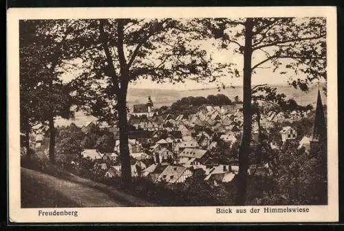 AK Freudenberg / Siegerland, Blick aus der Himmelswiese