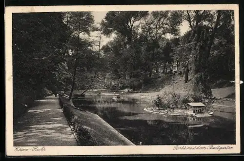AK Essen-Ruhr, Partie aus dem Stadtgarten