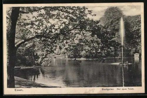 AK Essen, Stadtgarten, der neue Teich