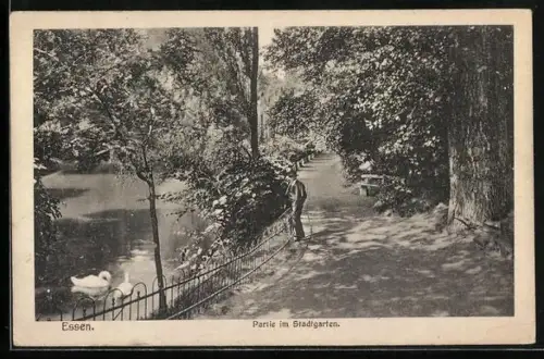 AK Essen, Partie im Stadtgarten