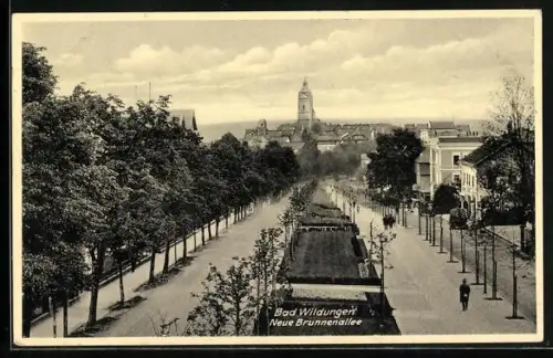 AK Bad Wildungen, Neue Brunnenallee