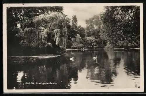 AK Essen / Ruhr, Stadtgartenteich