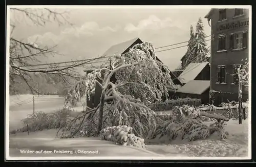 AK Felsberg i. Odenwald, Wald-Restaurant und Pension Felsberg, Winteransicht