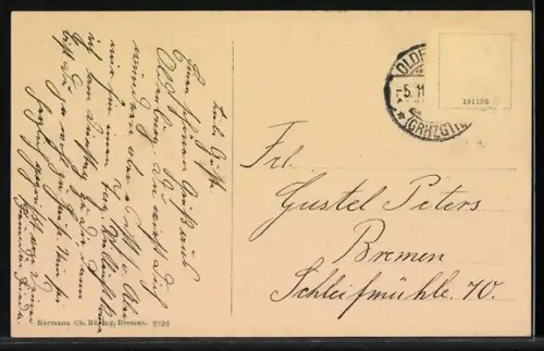 AK Oldenburg / O., Elisabeth-Anna-Palais