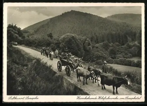 AK Laasphe, Heimkehrende Holzfuhrwerke im Laasphetal