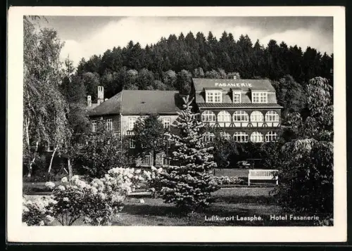 AK Friedrichshütte-Laasphe, Hotel Fasanerie mit Park
