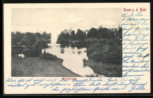 AK Essen a. d. Ruhr, Stadtgarten, Gewässer mir Springbrunnen